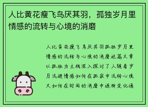 人比黄花瘦飞鸟厌其羽，孤独岁月里情感的流转与心境的消磨
